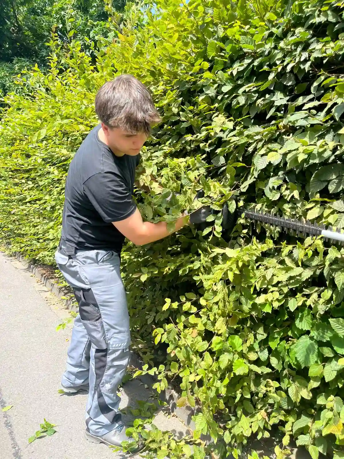 Heckenschnitt und Gartenarbeiten